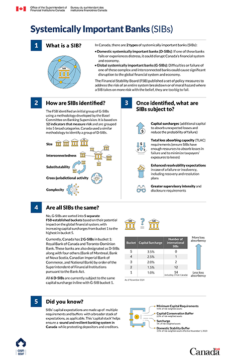 Infographic thumb: Systemically Important Banks (SIBs)